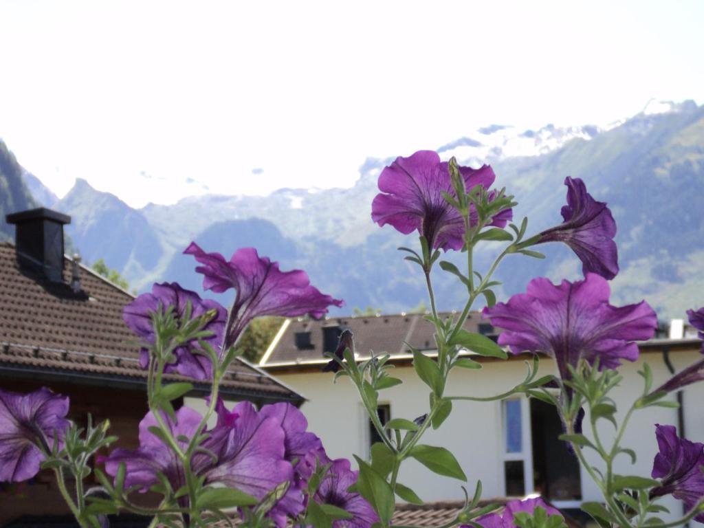 Apartmenthaus Gotthardt Kaprun Pokoj fotografie